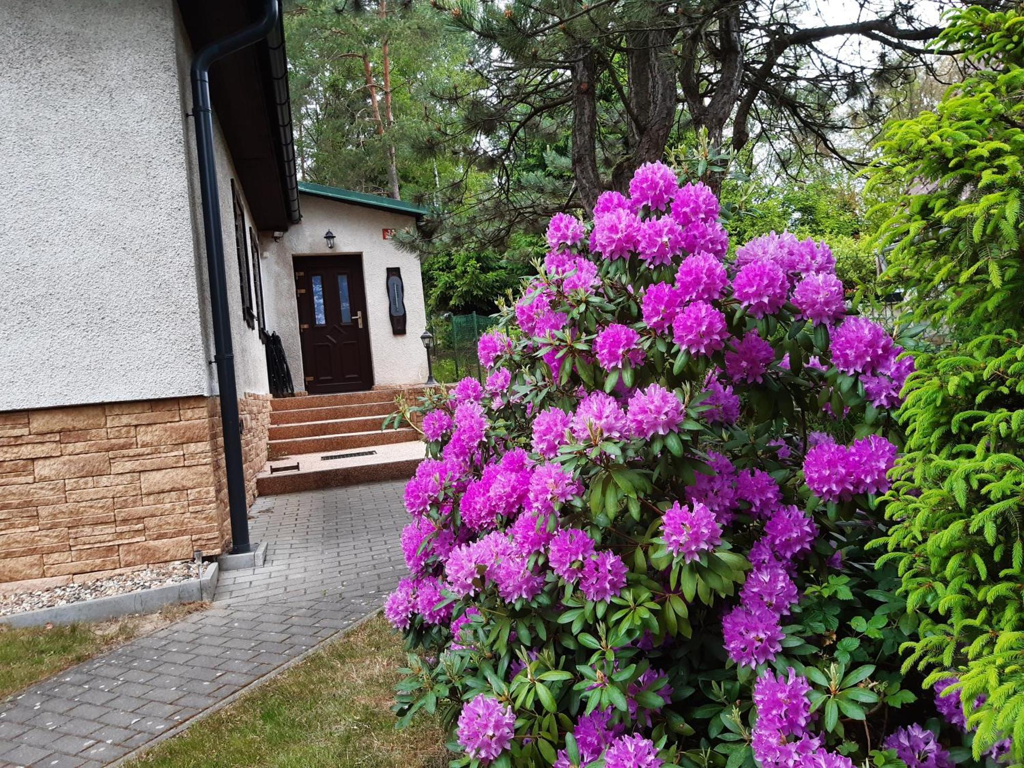 Chata Rynartice 7 Jetrichovice  Luaran gambar